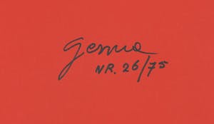 Gerriet Postma - Expressieve gouache met gesigneerde en genummerde monografie in casette kopen? Bied vanaf 500!