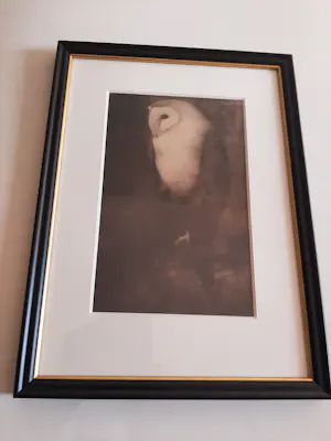 Jan Mankes - Originele Heliogravure Uil op Boomtak 1923 kopen? Bied vanaf 120!