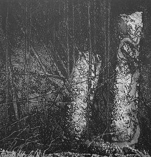 Bert Keller - Bosgezicht -ets mezzotint 1989- kopen? Bied vanaf 15!