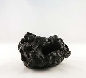 Berend Hoekstra - Brons, Een nomade verkocht voor € 1!