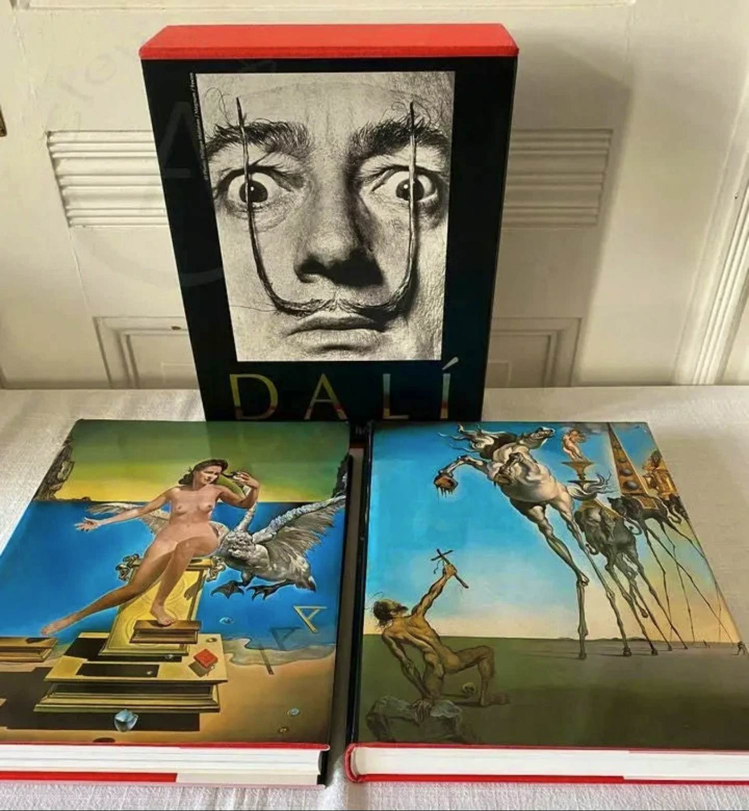 Salvador Dali - “Das malerische Werk". Complete ouvre in 2 cassettes. kopen? Bied vanaf 40!