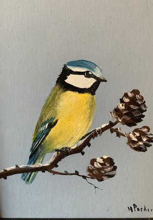 Henk Poeder - Pimpelmeesje kopen? Bied vanaf 60!