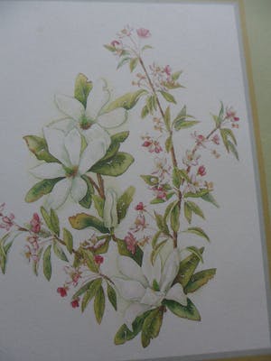 Janneke Brinkman-Salentijn - Litho, Bloemen. kopen? Bied vanaf 10!