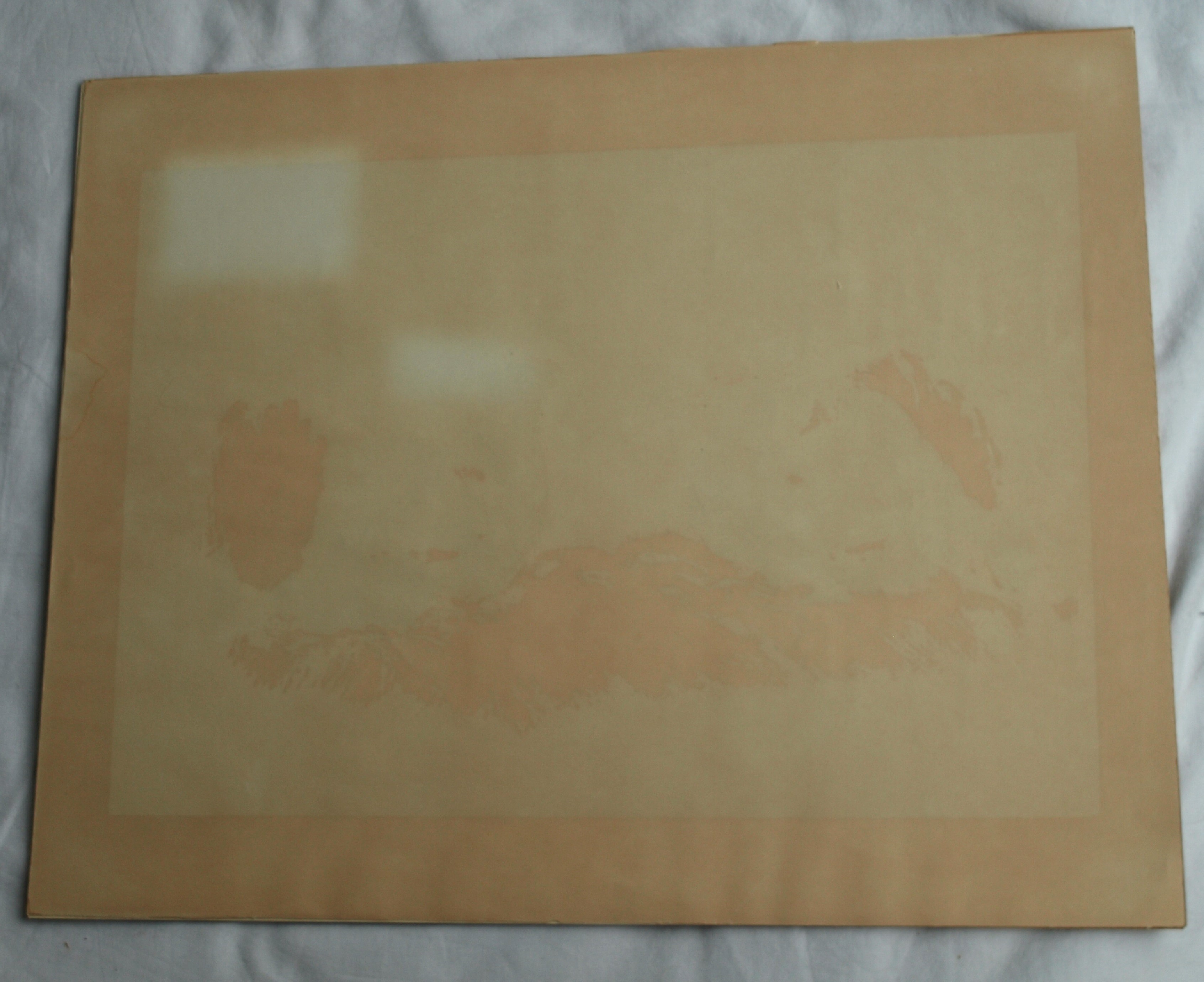 Niet of onleesbaar gesigneerd - Zeefdruk , 2 Zwarte kippen – gesigneerd – 1980 – oplage 10/20 kopen? Bied vanaf 1!