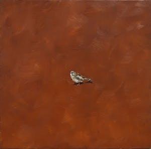 Gerard Prent - Olieverf op doek, Mus kopen? Bied vanaf 750!