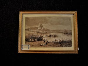 Niet of onleesbaar gesigneerd - omstreeks 1900 geschilderde Sepia - Haagse School - Eendjes aan waterkant kopen? Bied vanaf 10!