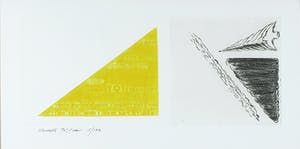 Hannes Postma - Ets, De reis van de zwaluw - Ingelijst kopen? Bied vanaf 1!