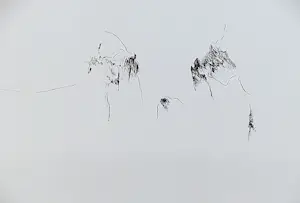 AcheterArmando - Het complete portfolio "Schuldige Landschaft" oplage 35 stuks! potloodgesigneerd? Enchérissez de 647!