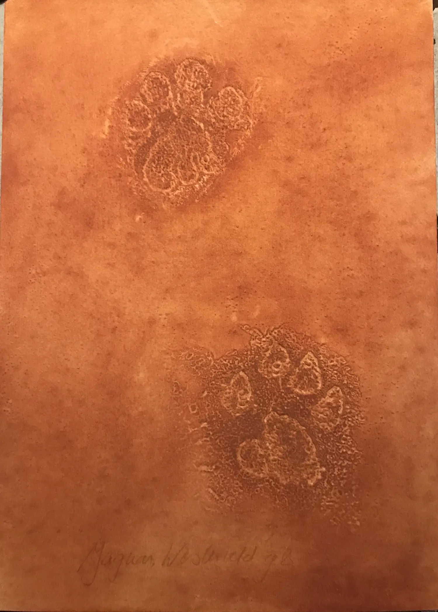 Peter Westerveld (1951-2014)