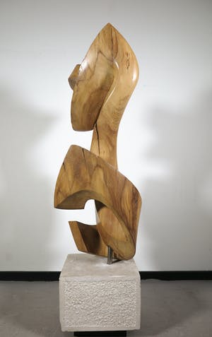 Niet of onleesbaar gesigneerd - Groot organisch gevormd houten sculptuur (Zwaar!) kopen? Bied vanaf 1!