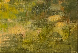 Toon Wildeboer - bij de Bodensee kopen? Bied vanaf 1!