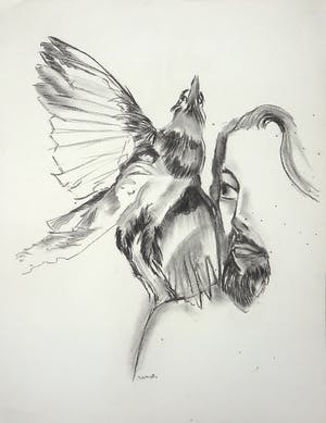 Joe Wols - Potloodtekening, Vogel kopen? Bied vanaf 1!