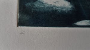 Niet of onleesbaar gesigneerd - Nijlpaard kopen? Bied vanaf 1!