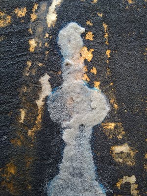 Caroline Weber - ''Blauwe mummie'', 1990 kopen? Bied vanaf 40!