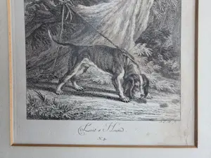 Johann Elias Ridinger - Vier gravures. Jachthonden. Ingelijst. kopen? Bied vanaf 160!