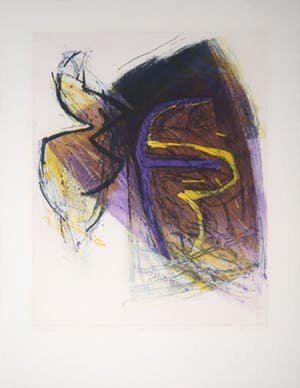 Hans Vredegoor - Ets en aquatint, Z.T. Vogel kopen? Bied vanaf 1!