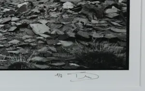 Koen Blanckaert - Fotografie op papier, Mongolia 10 - Ingelijst kopen? Bied vanaf 60!