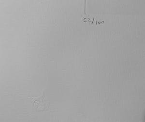 Leonor Fini - La Sorcière sur le Balai kopen? Bied vanaf 35!