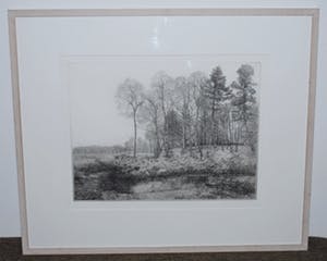 Charles Donker - Handgedrukte ets, oplage 50 - - Bos XVII - definitieve, 4e staat - 1999 kopen? Bied vanaf 350!