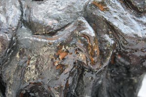 Niet of onleesbaar gesigneerd - Zeer Fraai uitgevoerde Stenen(Mineraal) Kunstenaars Paarden Sculptuur kopen? Bied vanaf 1!