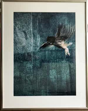 Jan Fabre - Often I feel betrayed verkocht voor € 375!