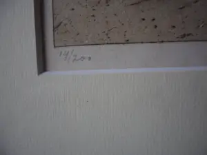 Tjeerd Bottema - Ets, Schaapskooi, Ede kopen? Bied vanaf 70!