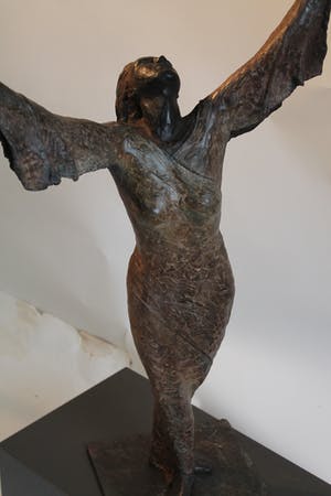 Dierik Potvlieghe - Hymne kopen? Bied vanaf 2250!