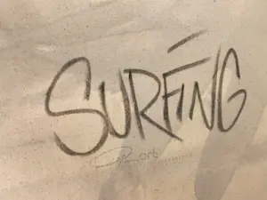 Parscha Mirghawameddin - Surfing kopen? Bied vanaf 75!