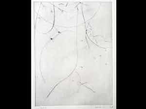 Henk Visch - Slapen verkocht voor € 50!