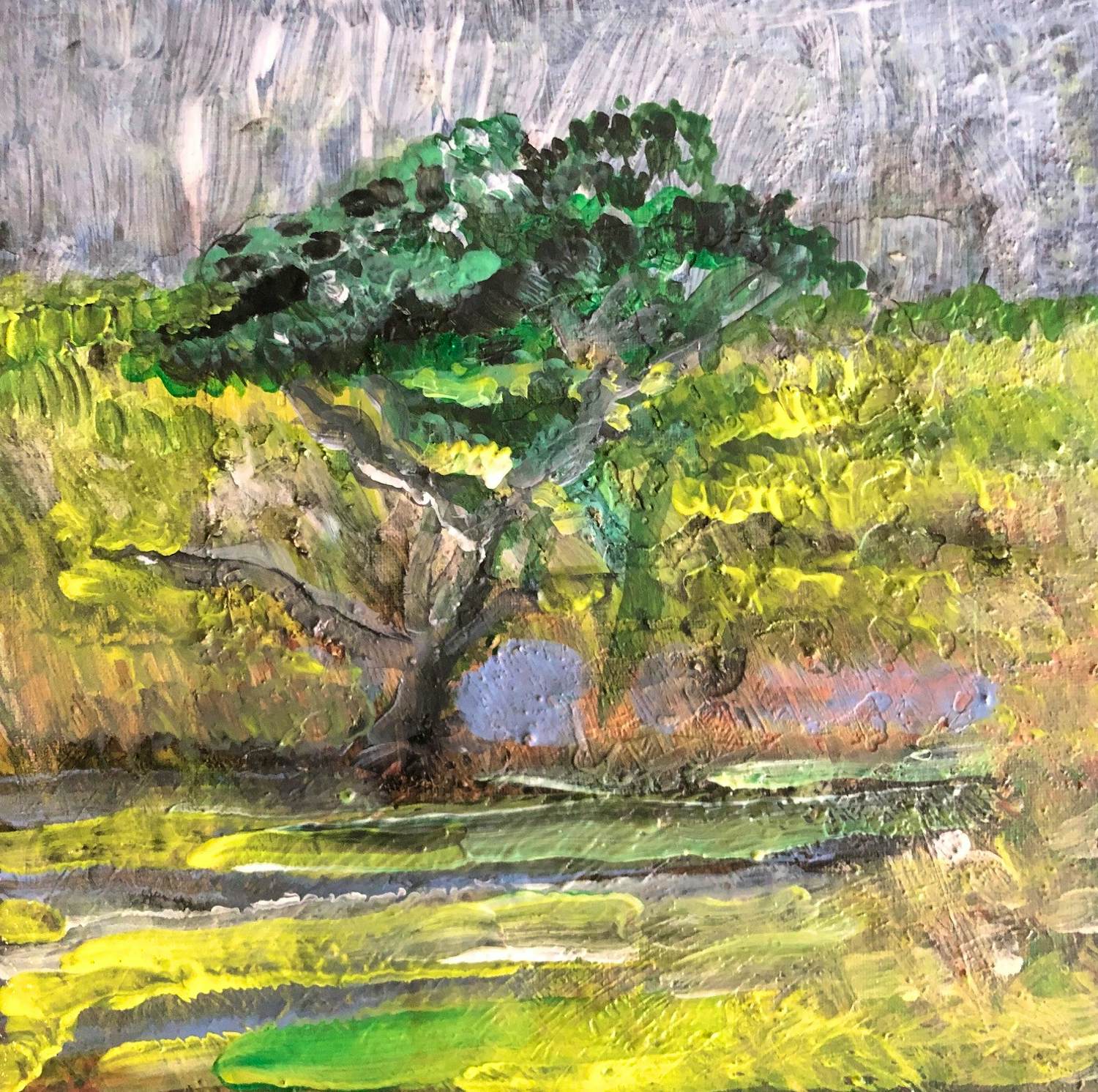 Dirk Broeder - Sparrenboom in de duinen kopen? Bied vanaf 132!