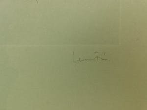 Leonor Fini - Aerotics Mystique kopen? Bied vanaf 40!