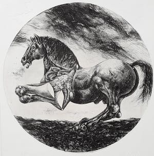 Willem Snitker - Paard, ets met reliëfdruk kopen? Bied vanaf 50!