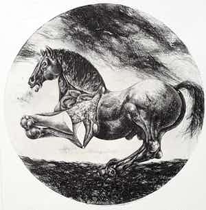 Willem Snitker - Paard, ets met reliëfdruk verkocht voor € 50!