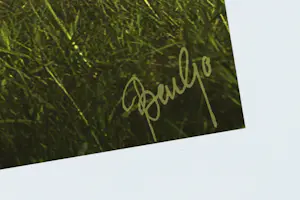 Ben Goossens - 'Magritte was hier' (2007) kopen? Bied vanaf 95!