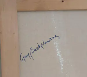 Guy Baekelmans - Beyond Imagination - werk uit serie - kopen? Bied vanaf 450!