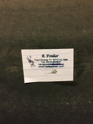 Henk Poeder - Scheveningen kopen? Bied vanaf 99!