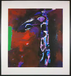 Nico Molenkamp - Zeefdruk, Giraffe - Ingelijst verkauft für € 65!