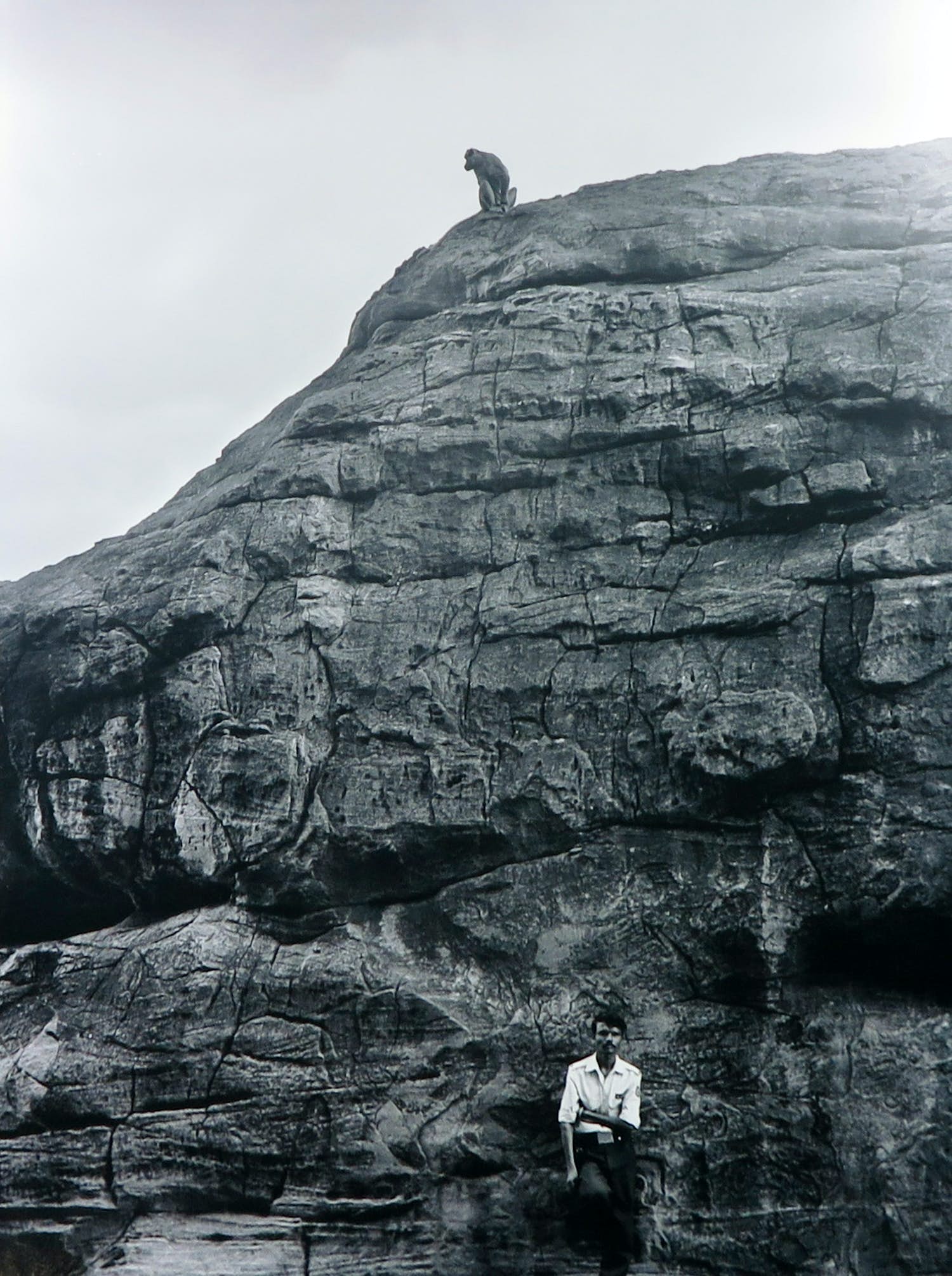 Prarthana Modi - Foto op dibond, Evolution Badami kopen? Bied vanaf 1!