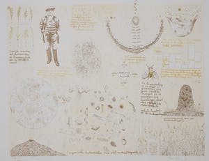 Theo Kley - Litho, Erfelijke variaties (...) kopen? Bied vanaf 1!
