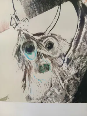 Pol Mara - pauwveren kopen? Bied vanaf 150!