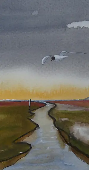 Franklin Meijer - Texel - de Slufter kopen? Bied vanaf 30!