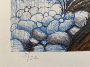 Nicolaas Wijnberg - kleurenlitho - 'Libertad!' - 1983 - Oplage slechts 24 stuks! kopen? Bied vanaf 75!