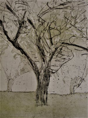 Niet of onleesbaar gesigneerd - In zeer kleine oplage vervaardigde Droge Naald Ets "Vlier" gesigneerd kopen? Bied vanaf 10!