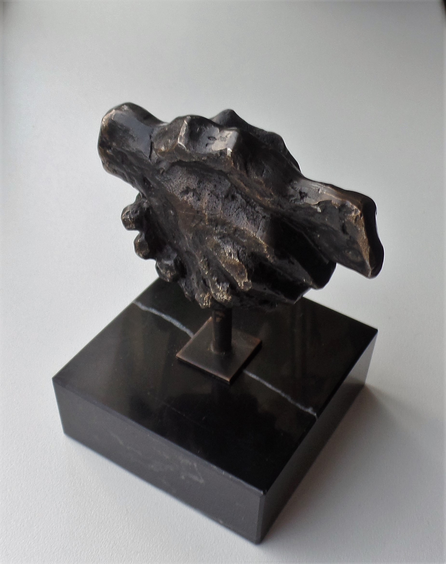 Astrid Veldhuyzen-Koppen - Handdruk - Brons kopen? Bied vanaf 49!