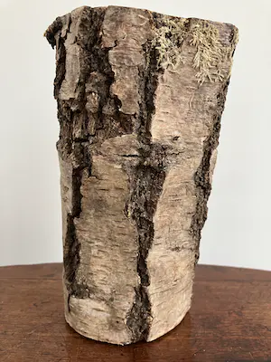 Emile van der Kruk - Greyhound kopen? Bied vanaf 1!