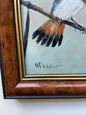 Henk Poeder - Blauwborstje kopen? Bied vanaf 89!