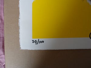 Herman Brood - Zeefdruk: Vliegtuig 4. kopen? Bied vanaf 175!
