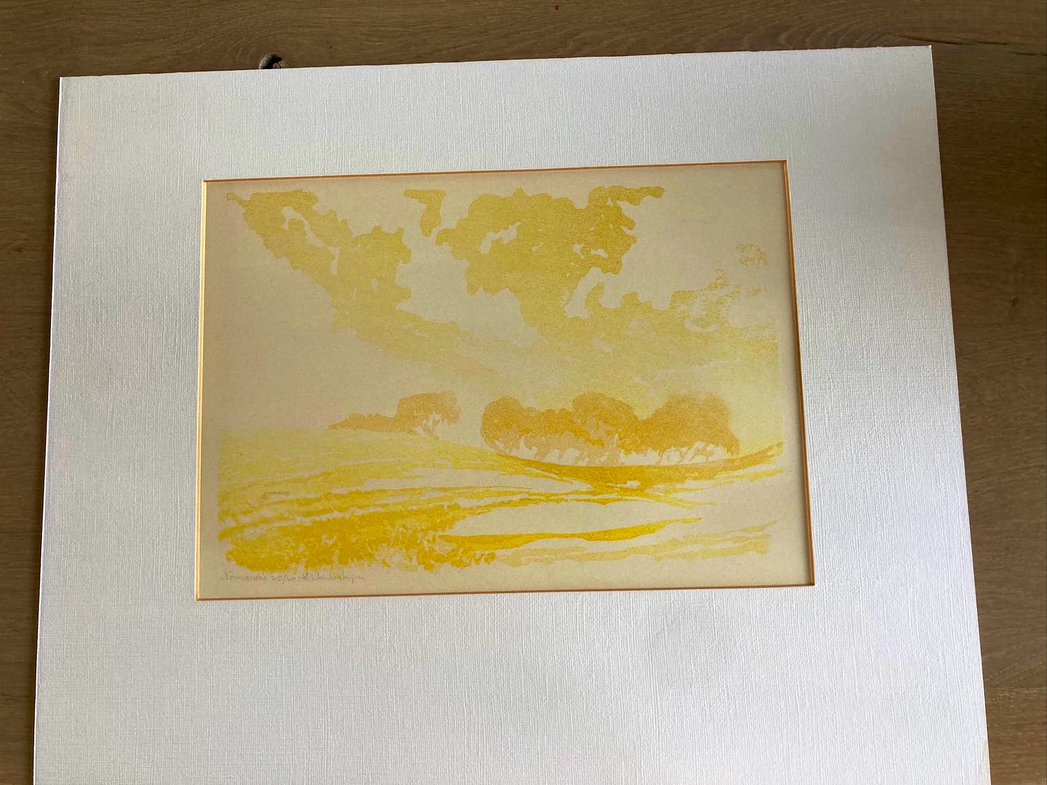 Theo Blankestijn - Normandie kopen? Bied vanaf 30!