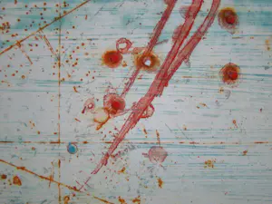 René Carcan - Été - 1980 - Originele ets, handgesigneerd en genummerd kopen? Bied vanaf 120!