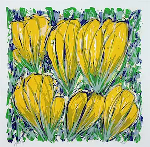 Ad van Hassel - Tulpen Geel kopen? Bied vanaf 40!